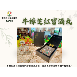 台灣牛樟芝TWAC